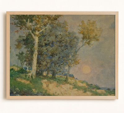 Summer in the Fields