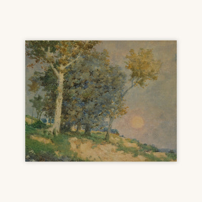 SUMMER IN THE FIELDS — Primary Image