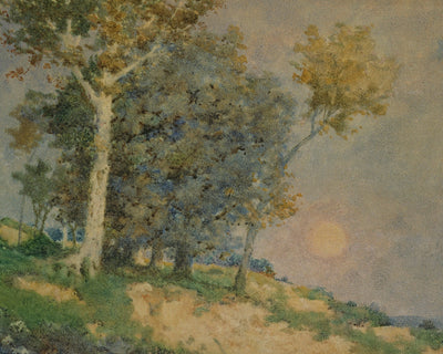 SUMMER IN THE FIELDS