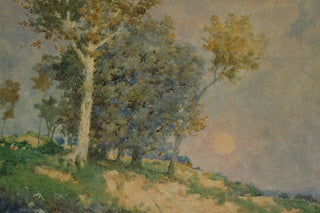 SUMMER IN THE FIELDS