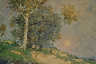 SUMMER IN THE FIELDS