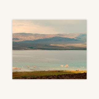 Summer Palette — Primary Image