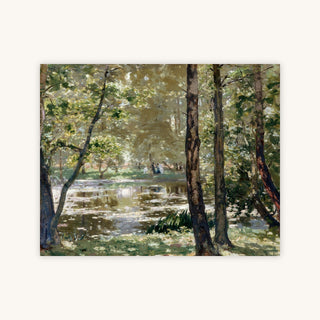 SUNLIGHT, BURNHAM BEECHES — Primary Image