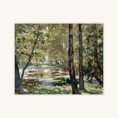 SUNLIGHT, BURNHAM BEECHES — Primary Image