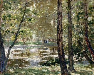 SUNLIGHT, BURNHAM BEECHES