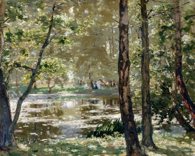 SUNLIGHT, BURNHAM BEECHES