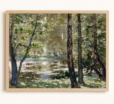 Sunlight, Burnham Beeches