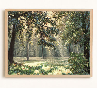 Sunlight in the Trees