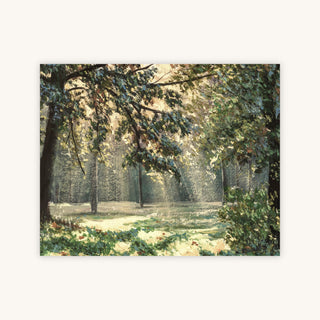 SUNLIGHT IN THE TREES — Primary Image