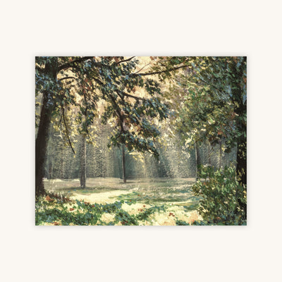 SUNLIGHT IN THE TREES — Primary Image