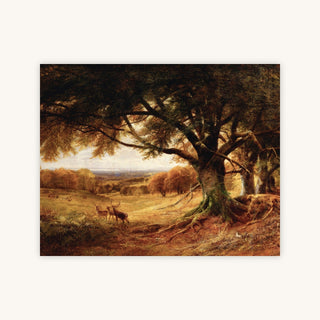 SUSSEX, AUTUMN — Primary Image