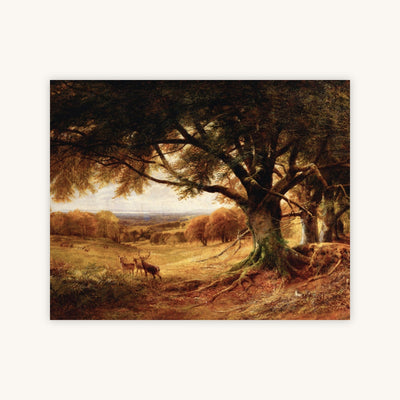 SUSSEX, AUTUMN — Primary Image
