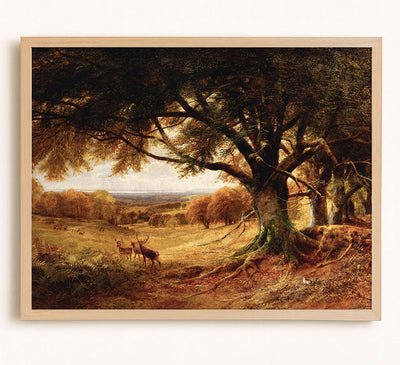 Sussex, Autumn