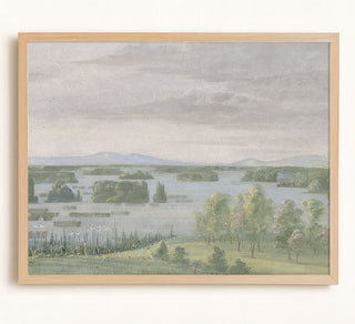 SWAN LAKE - Museum Quality Art