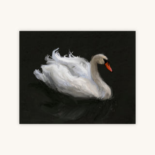 SWAN ON LAKE — Primary Image