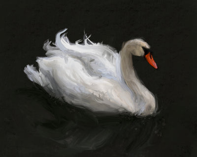 SWAN ON LAKE