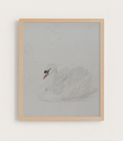 SWAN - Museum Quality Art