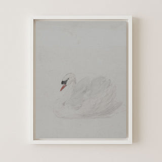 SWAN - Museum Quality Art