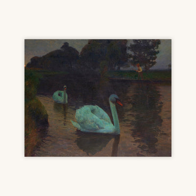 Swans at Moonrise — Primary Image