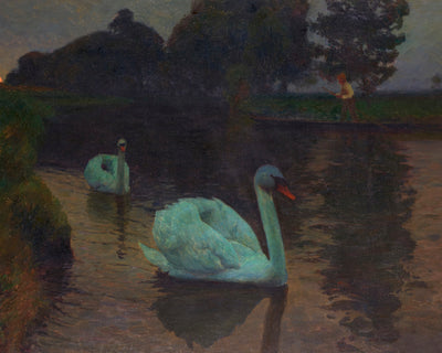 Swans at Moonrise