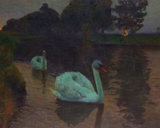 Swans at Moonrise