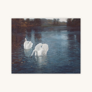 SWANS ON THE RIVER — Primary Image