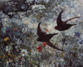 SWIFT - Museum Quality Art