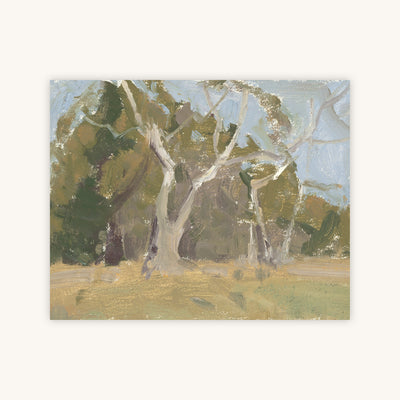 SYCAMORE TREES STUDY — Primary Image