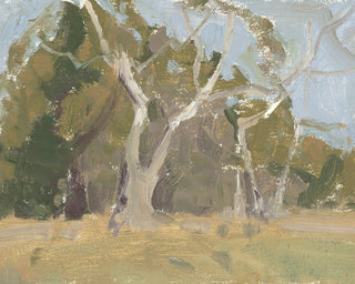 SYCAMORE TREES STUDY