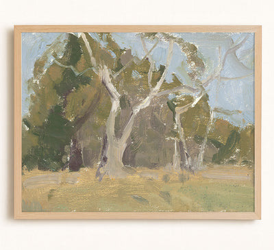 Sycamore Trees Study