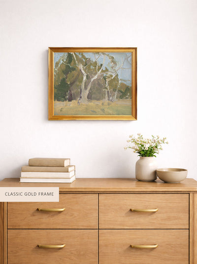 Sycamore Trees Study