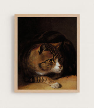 TABBY CAT - Museum Quality Art
