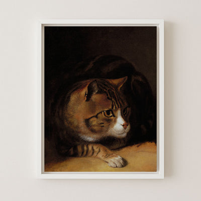 TABBY CAT - Museum Quality Art