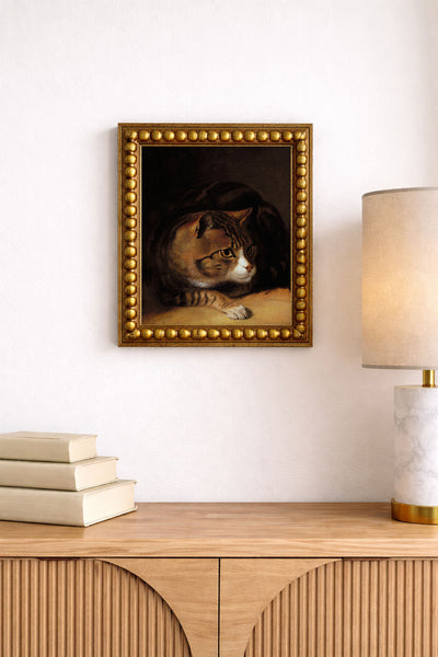 Tabby Cat