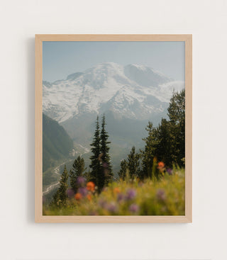Tahoma in Bloom