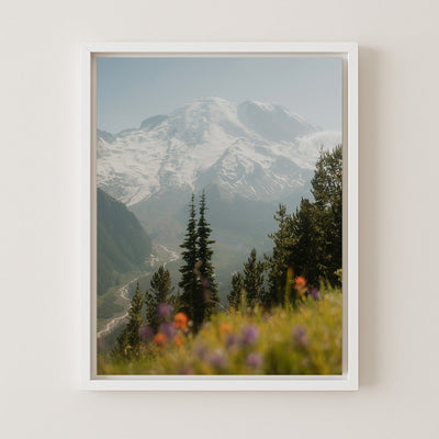 Tahoma in Bloom