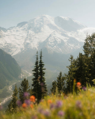 Tahoma in Bloom