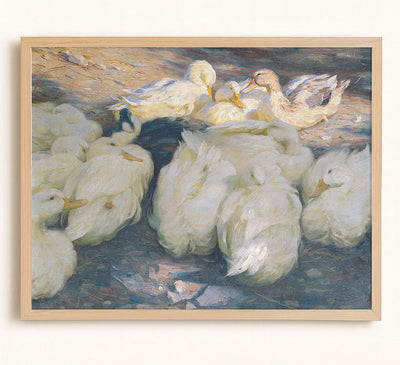 Team of Ducks