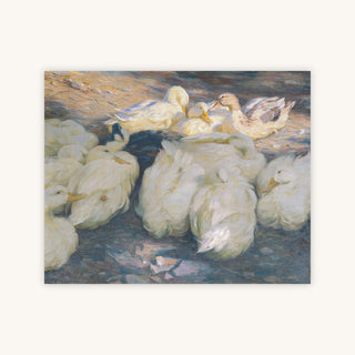 TEAM OF DUCKS — Primary Image