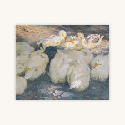 TEAM OF DUCKS — Primary Image