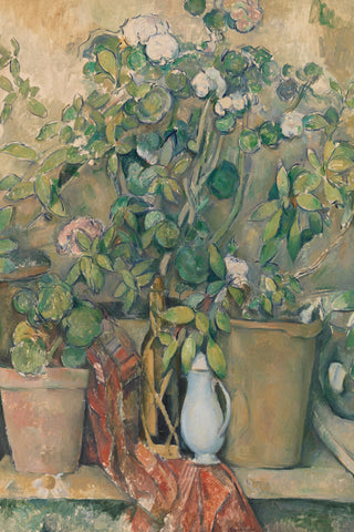 TERRACOTTA POTS AND FLOWERS