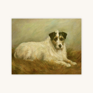 TERRIER — Primary Image