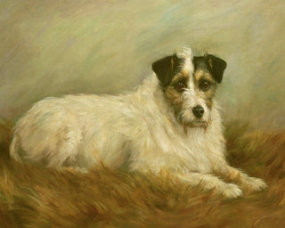 Terrier