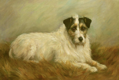 Terrier