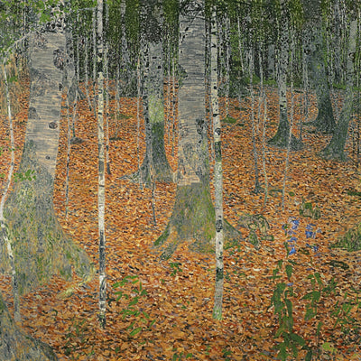 THE BIRCH WOOD