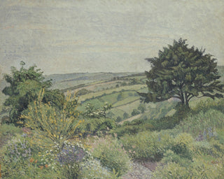 The Cottage Garden, Fishpond