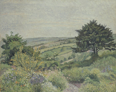 The Cottage Garden, Fishpond