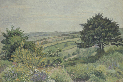 The Cottage Garden, Fishpond