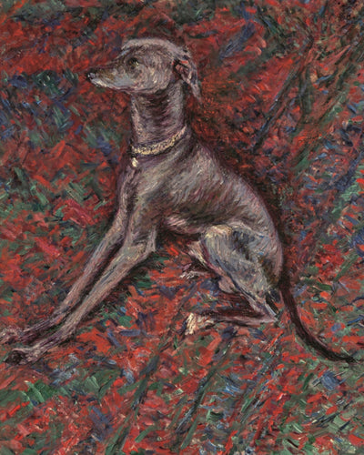 The Dog Paul