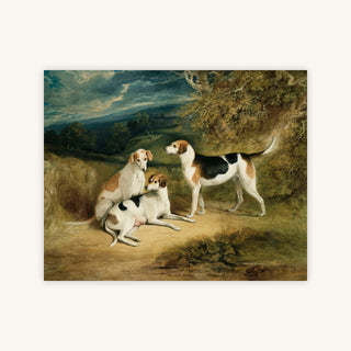 THE DUKE OF RUTLAND'S HOUNDS — Primary Image